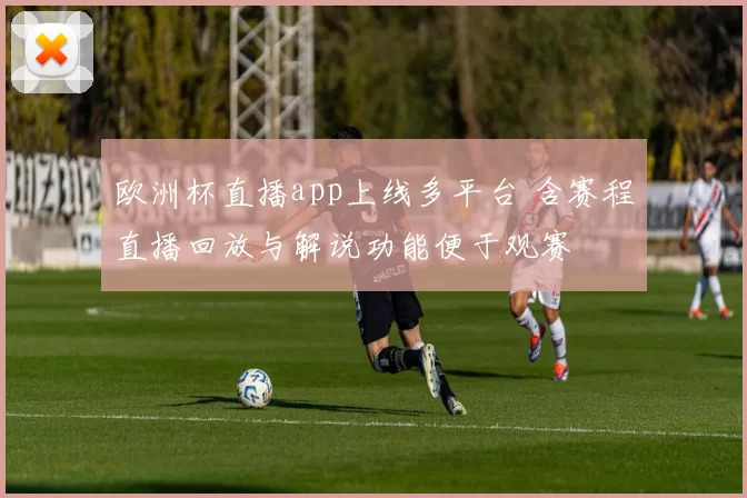 欧洲杯直播app上线多平台 含赛程直播回放与解说功能便于观赛