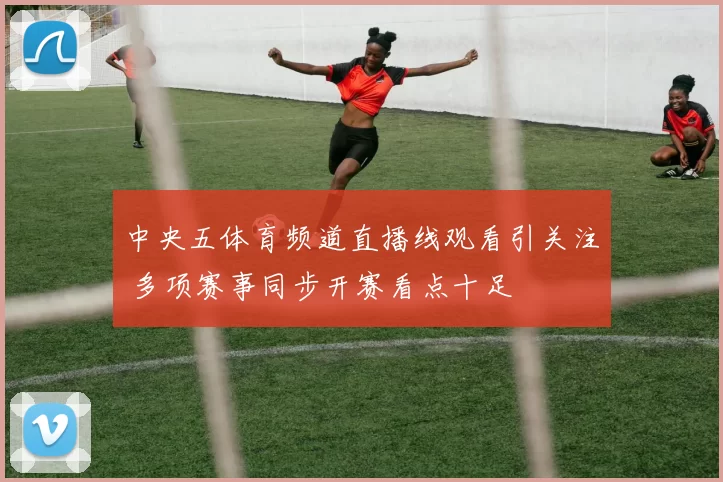 中央五体育频道直播线观看引关注 多项赛事同步开赛看点十足