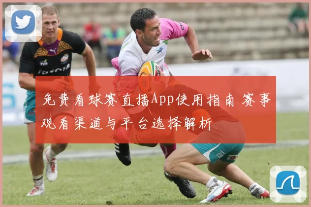 免费看球赛直播App使用指南 赛事观看渠道与平台选择解析