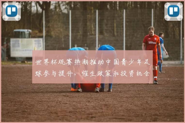 世界杯观赛热潮推动中国青少年足球参与提升，催生政策和投资机会